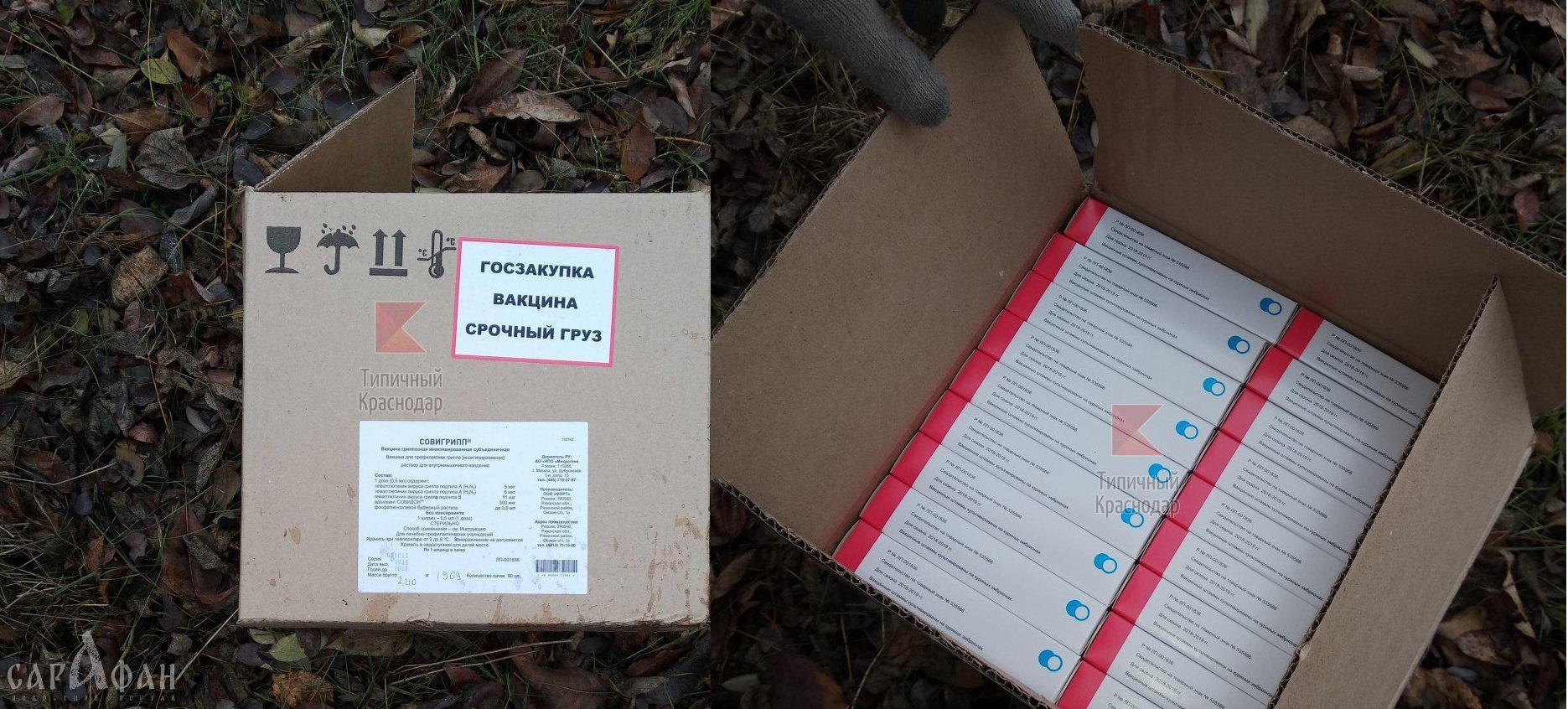 Коробки с госзаказом вакцин выбросили в лесополосе Краснодара