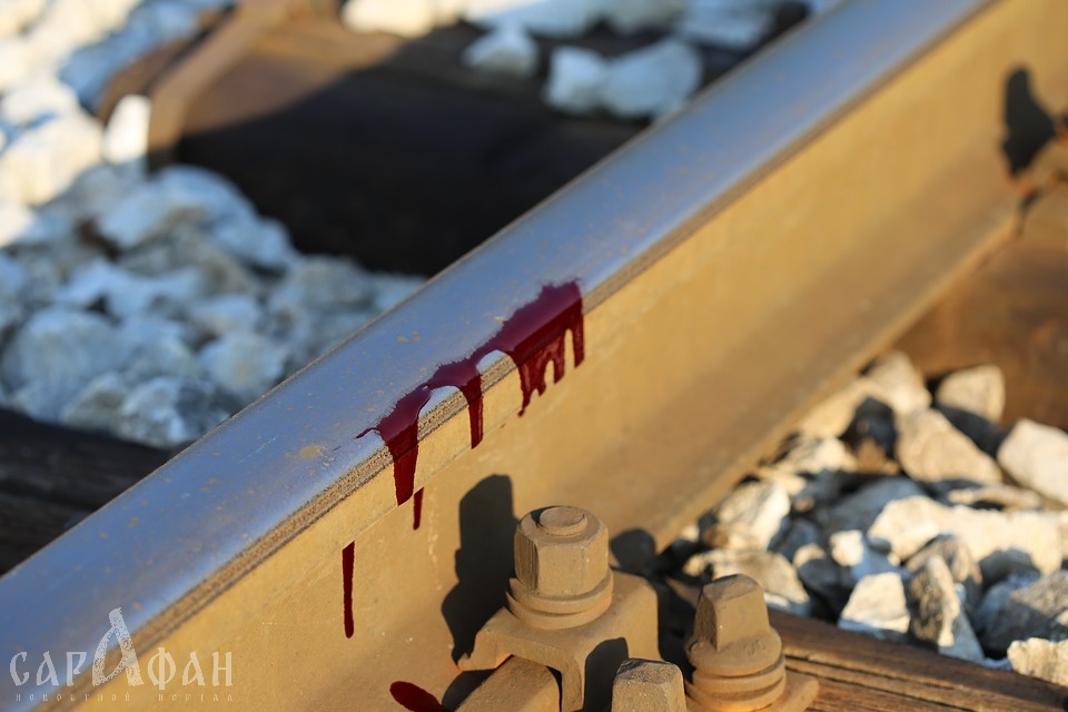Проводника будут судить за то, что поезд отрезал пассажирке палец в Ростовской области