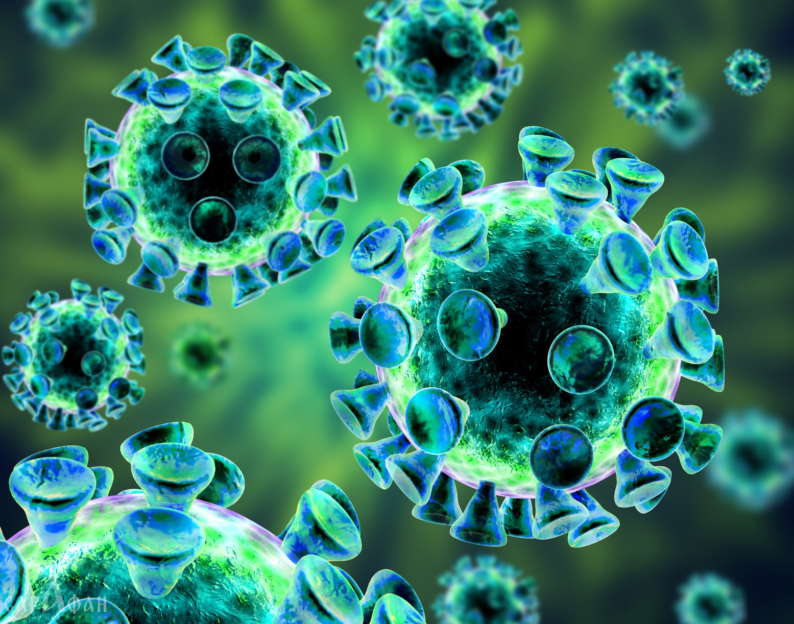 6 симптомов смертельного вируса