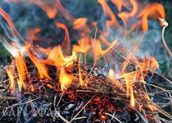 На Кубани объявлен наивысший класс пожароопасности