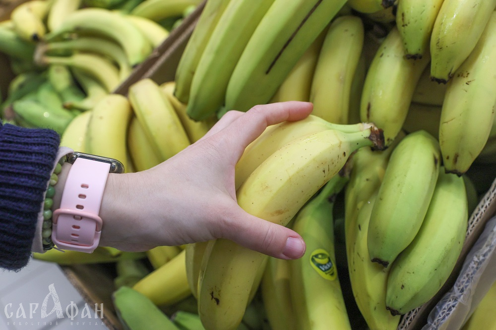 Первую партию бананов из Индии выгрузили в Новороссийске