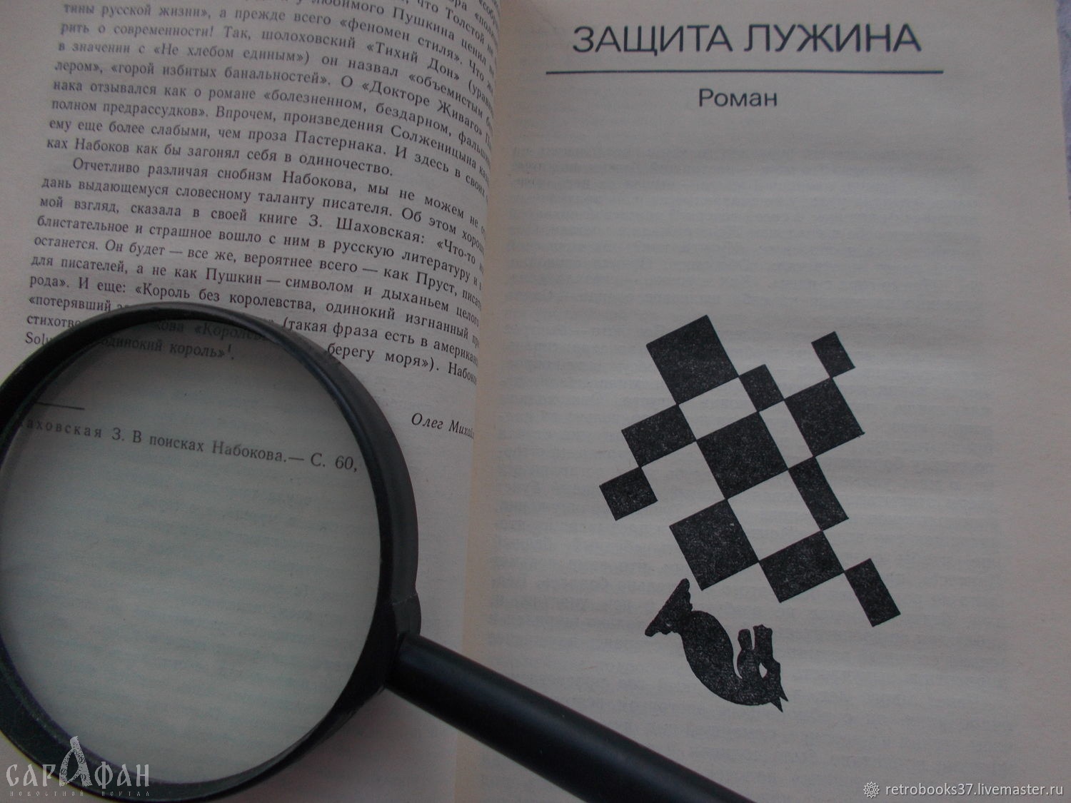 Владимир Набоков: «Всё, что у меня есть, – это мой стиль»