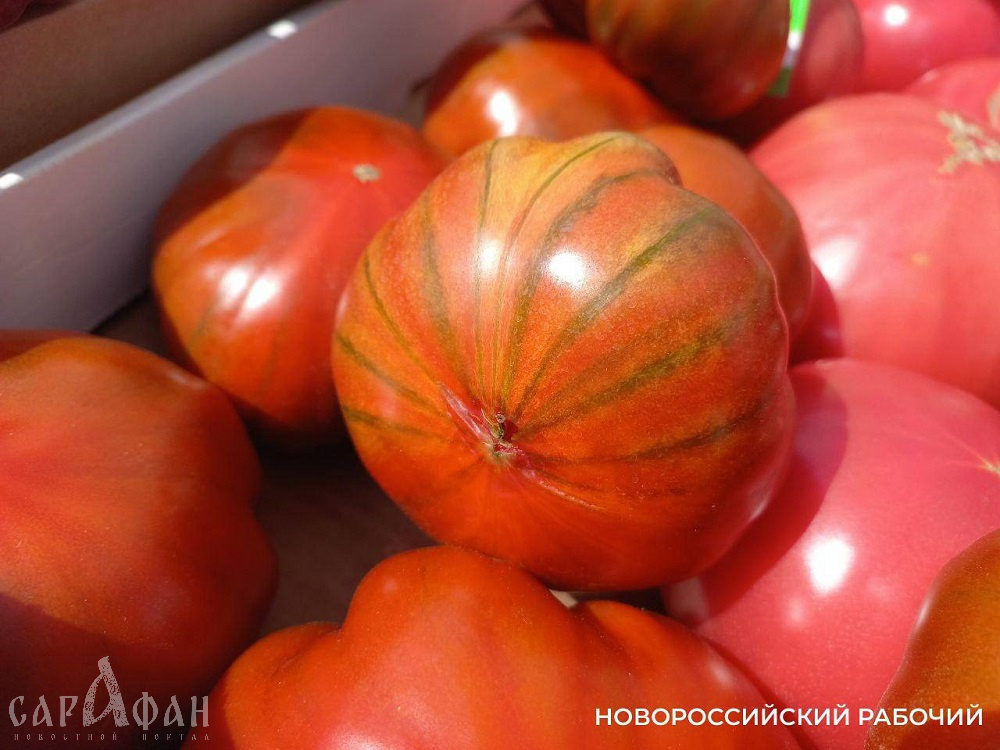 Жители Новороссийска заметили на прилавках необычные «золотые яблоки» 