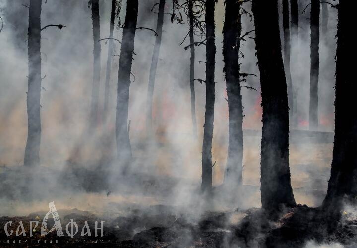 На Кубани объявлен решим высокой пожароопасности