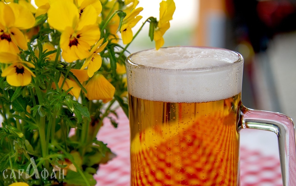 Беспохмельное и полезное пиво создали российские ученые