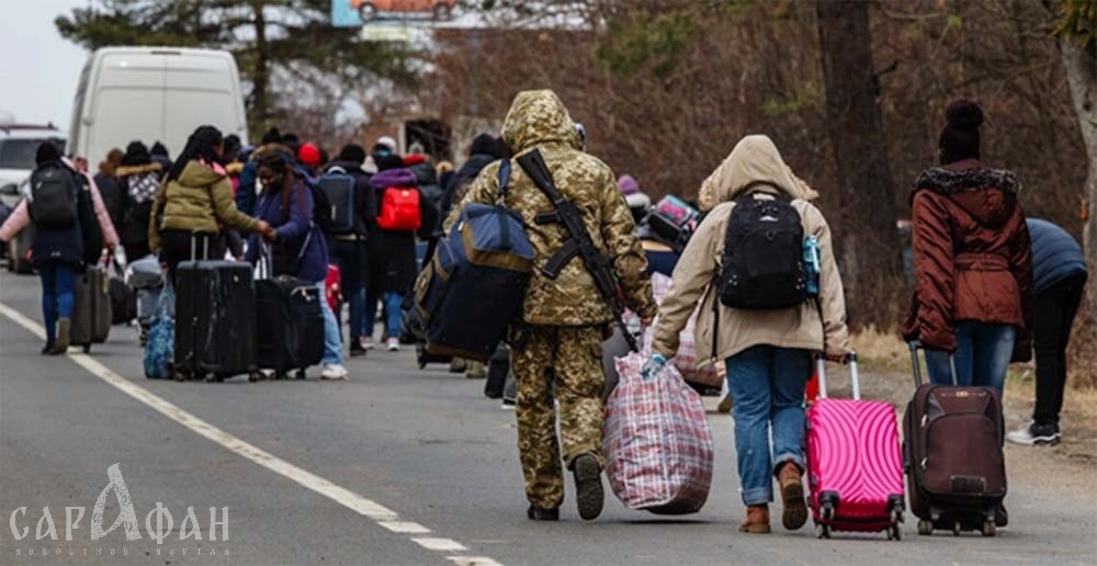 Границу в Ростовской области за сутки пересекли более 12,5 тысячи беженцев
