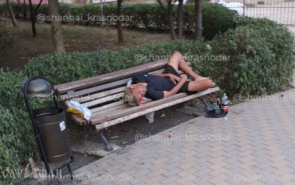 Попойки на костях: в Краснодаре сквер памяти жертвам фашизма оккупировали «спиртоглоты»