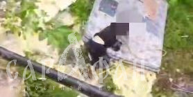 Снимали издевательства на видео: подростки устроили «зверский вытрезвитель» связанному другу  