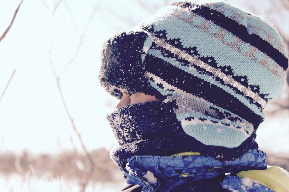 Суровые морозы прогнозируют синоптики в Ростовской области