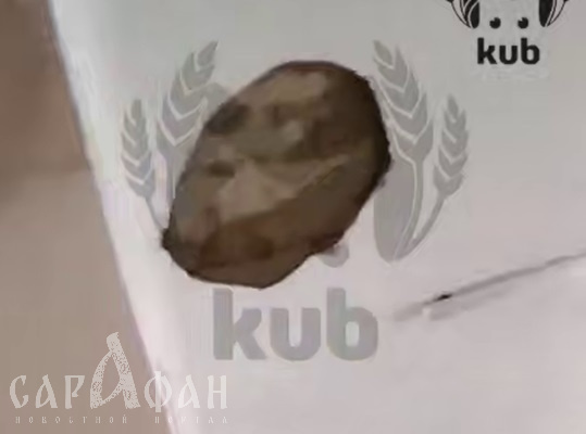 Прорвало трубы и обвалился потолок: в станице Ленинградской разваливается школа 