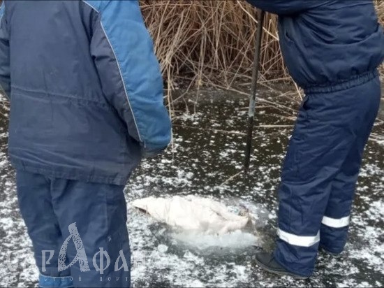 Стали известны подробности обнаружения во льду тела женщины