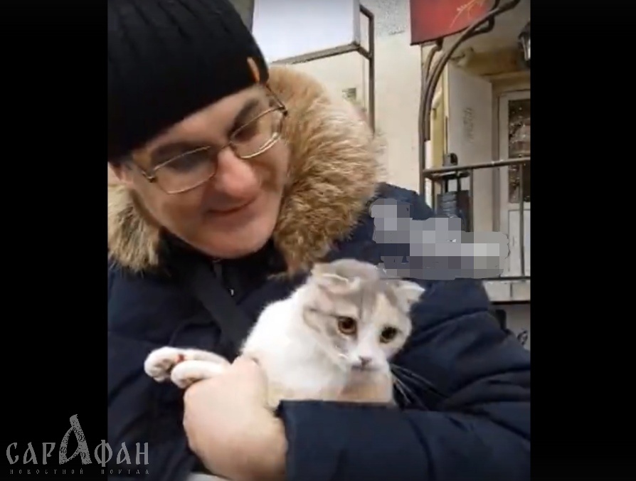 Ростовчане спасли кошку, выпавшую из окна и застрявшую на дереве