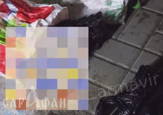 Задыхающегося кота в завязанном мешке и пакетах бросили умирать в муках на Кубани
