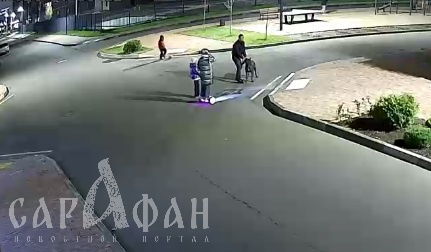 Хвостатая гроза района: в Краснодаре полиция нашла хозяев агрессивного кане-корсо