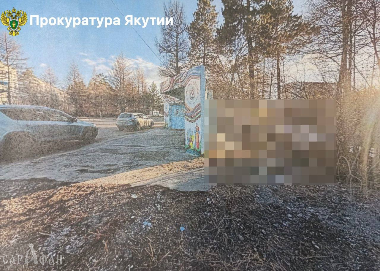 Лежала в пакете за автобусной остановкой: несколько дней изувеченное тело стыло в полиэтилене и казалось ничем непримечательным сугробом возле людного места