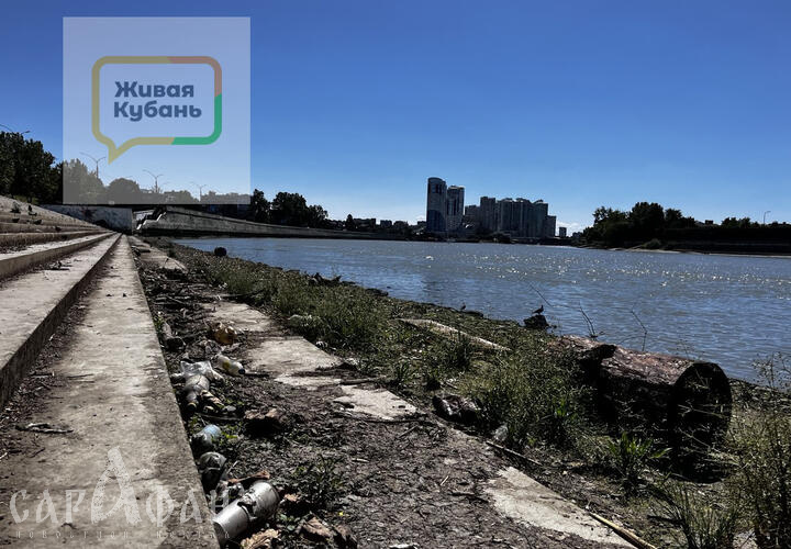 «Вы чувствуете эту вонь?»: вместо нежности в краснодарцах пробуждается рвотный позыв рядом с местом для поцелуев