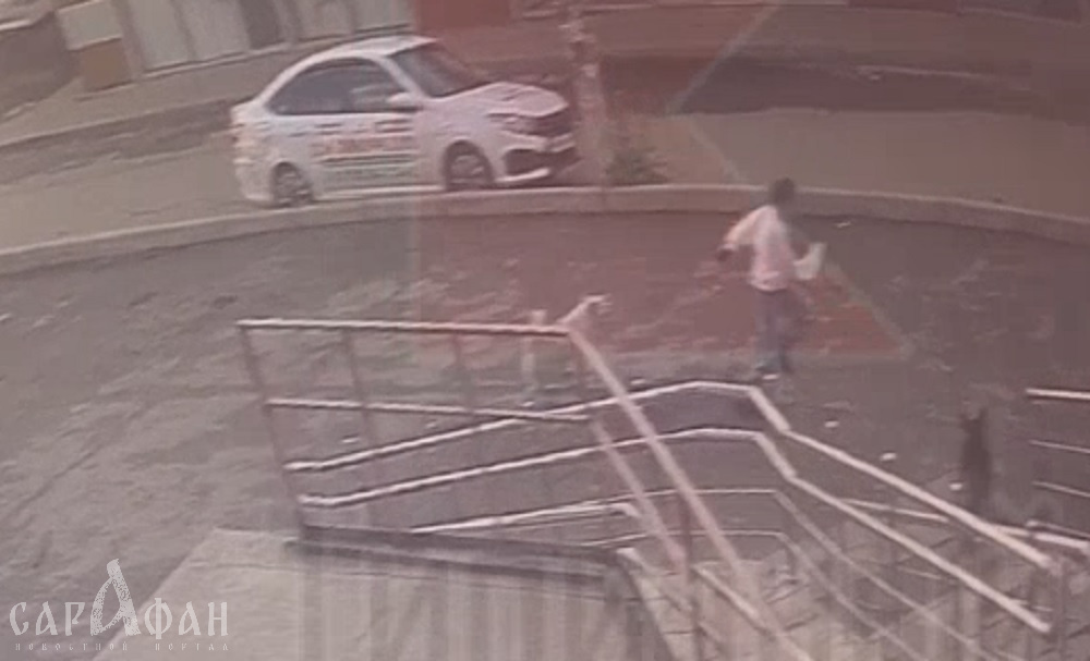Полиция проводит проверку сообщений о нападении собак на маленьких девочек в хуторе под Краснодаром