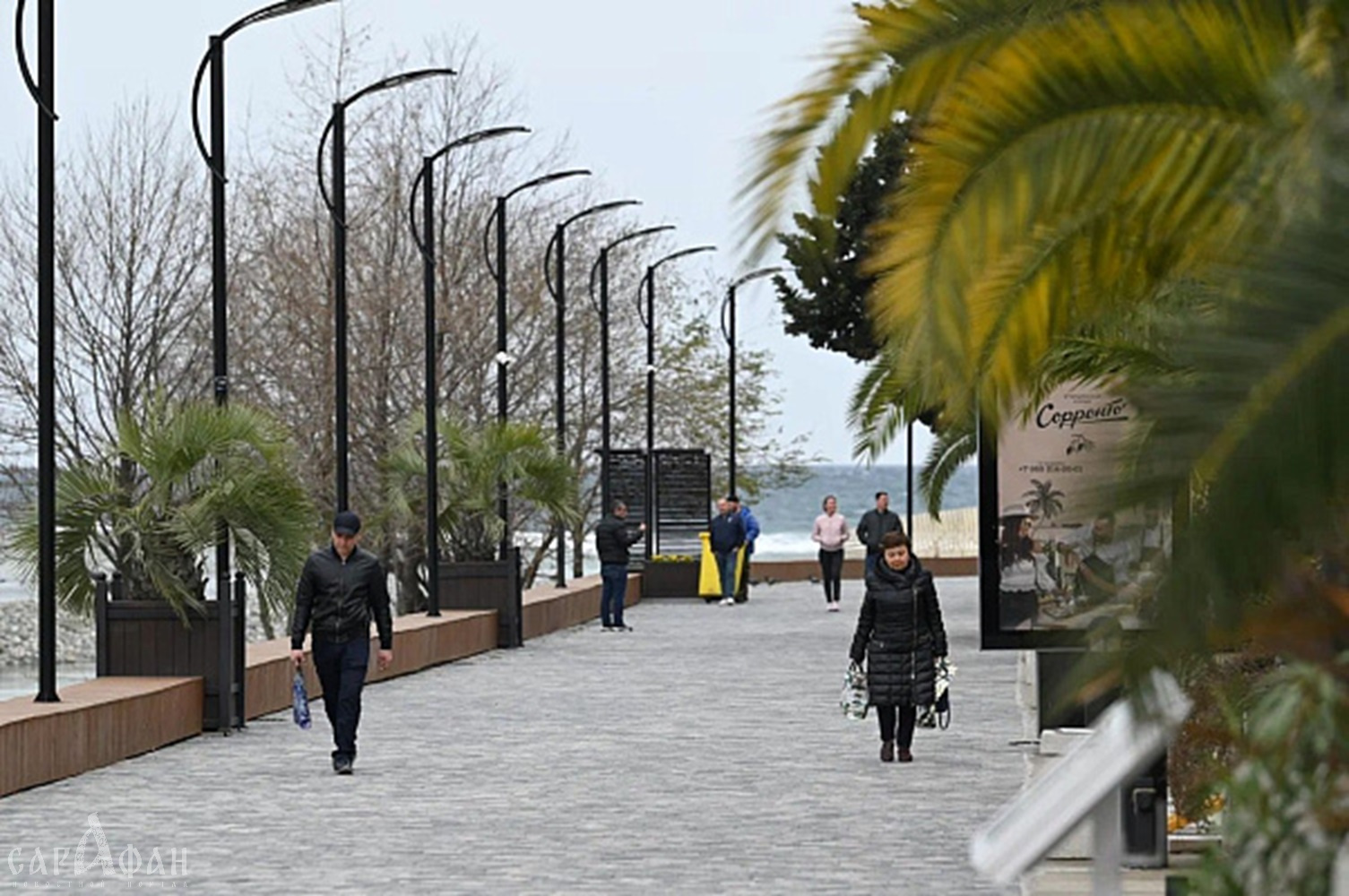 Новые лавочки, фонари и пальмы: в Адлере после ремонта открыли морскую набережную