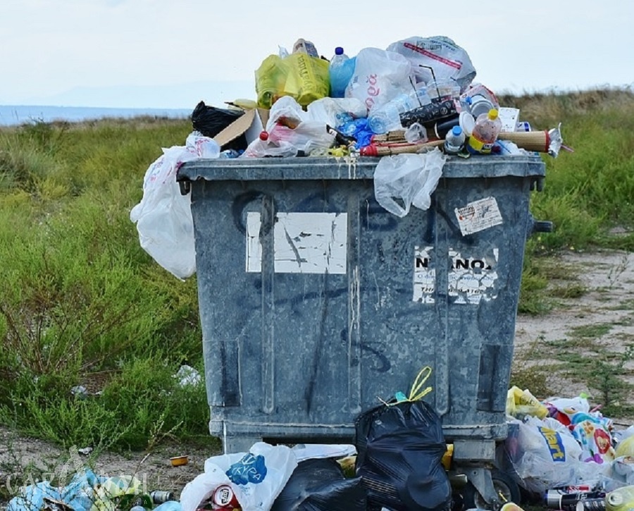 Названа причина нехватки мусорных баков в Ростове