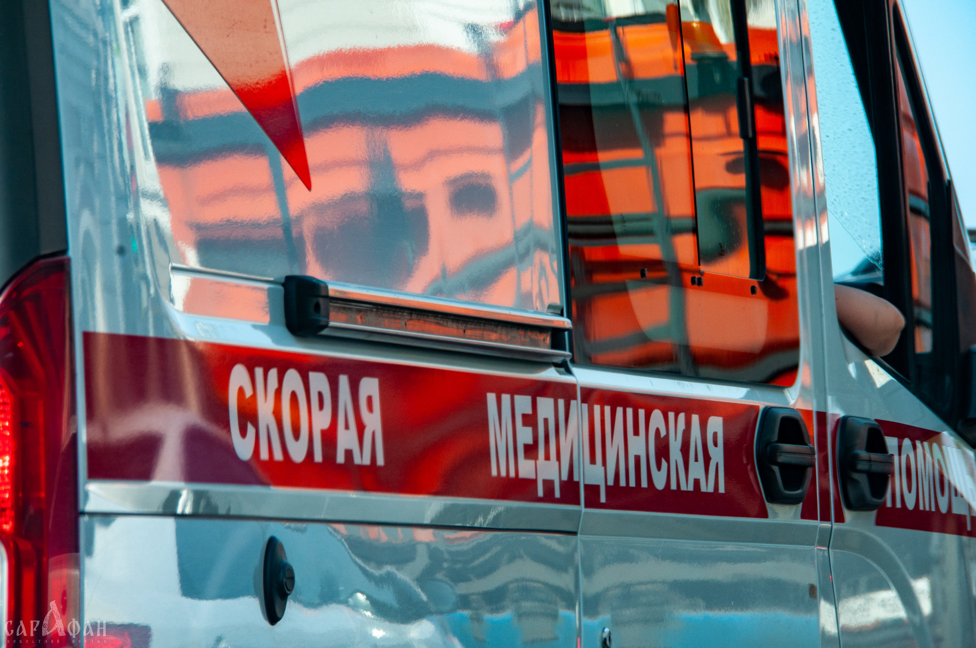 От лица мало что осталось: в том, что человека нельзя узнать, могут быть виноваты собаки, крысы или мыши