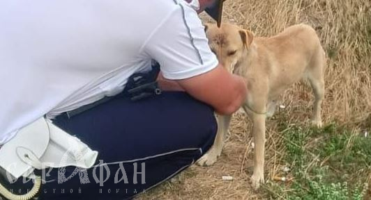 «Веревка обвила ее шею»: на Кубани полицейские успели предотвратить беду