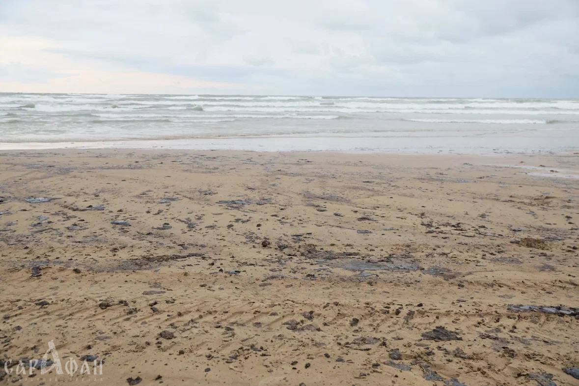 Анапа в режиме реального времени: уборку побережья от мазута теперь можно будет увидеть через онлайн-трансляцию