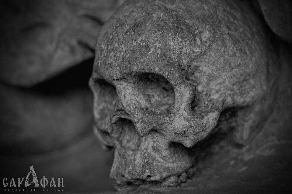 Средневековый склеп со скелетами нашли в Азове