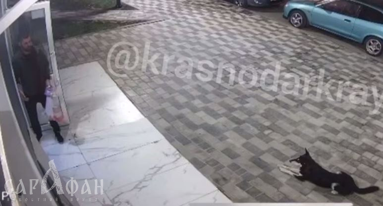 «Подкараулил моего сына и хотел с ним расправиться»: взволнованная мать «подняла на уши» полицию Краснодара 