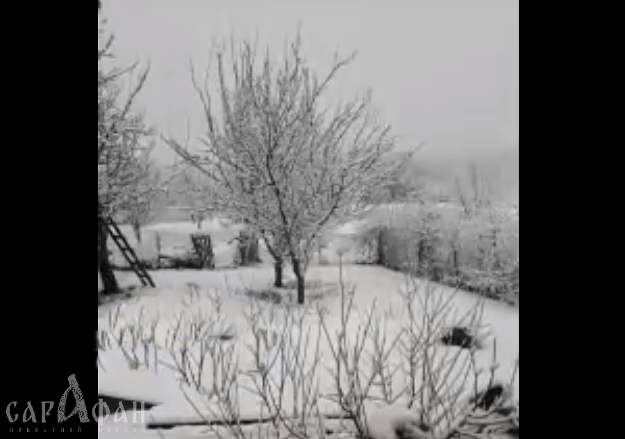 Снегом засыпает Ростовскую область