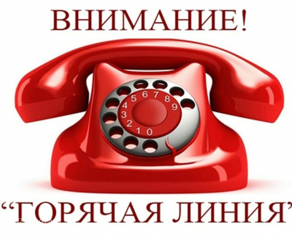 На Кубани открыли «горячую линию» по соблюдению избирательных прав
