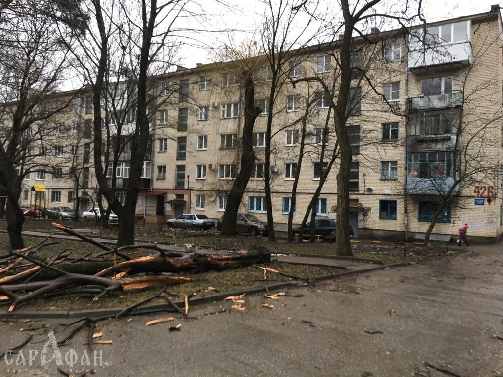Режим ЧС в связи с сильным ураганным ветром введен в Ставрополе