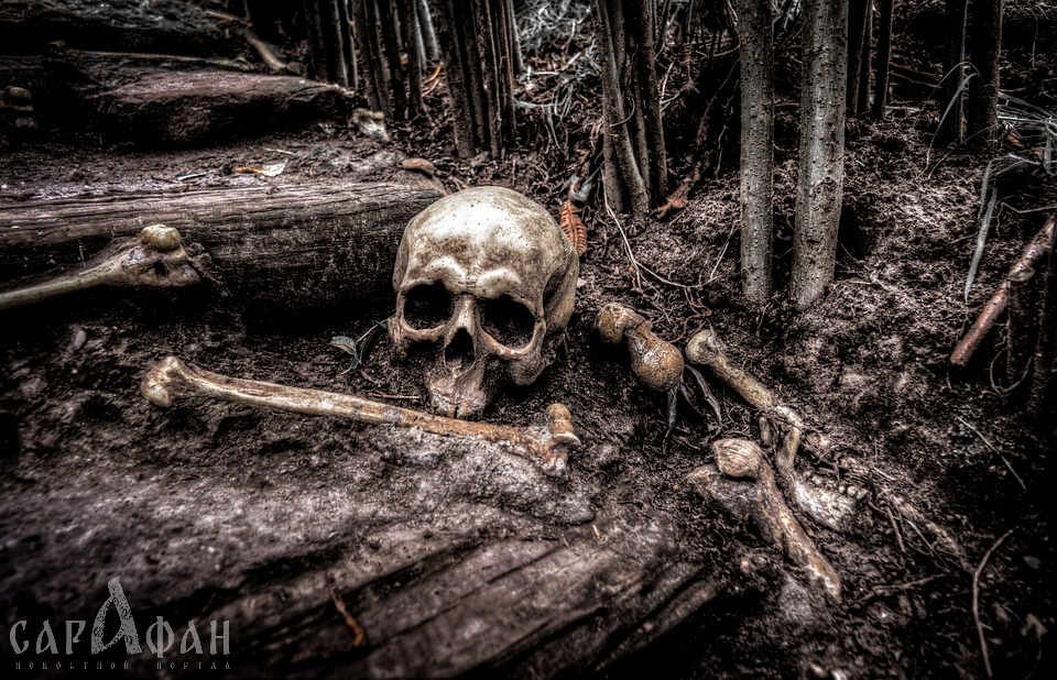Человеческий скелет нашли в Усть-Лабинске