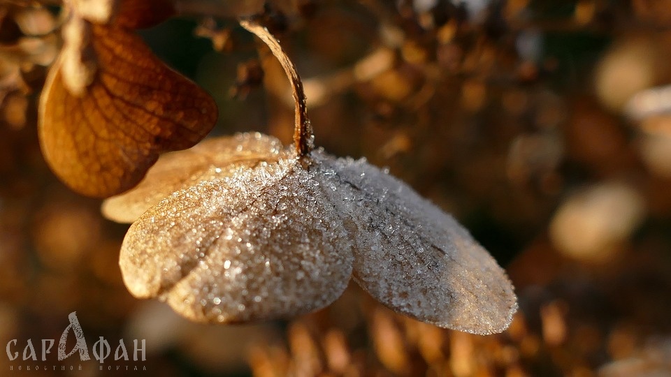 Морозы прогнозируют синоптики на выходных в Ставропольском крае