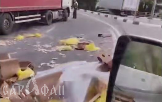 Курицы парализовали движение на перевале в Сочи