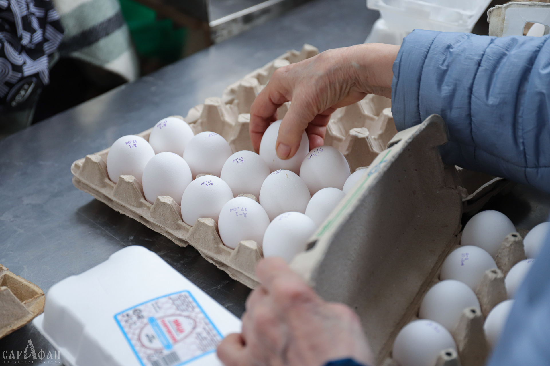 Яйца белые или коричневые: давний спор о цвете и качестве этого продукта не утихает