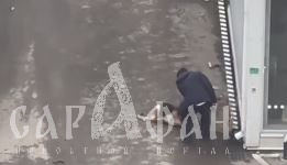 Лежала в ногах, вжавшись в землю, и не сопротивлялась: с дикой жестокостью изувер избил бездомную собаку у магазина в Краснодаре 