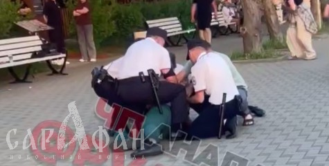 «У меня ранено, убери ногу»: с дикими криками мужичок пытался отбиться от четверых людей в погонах, лежа на земле и рассуждая о «бабках» 
