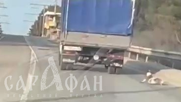 Окровавленная собака волочилась на привязи за грузовиком в Крыму