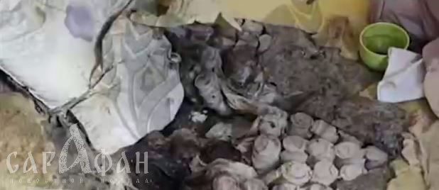 «Гнила и под себя ходила»: соседи жаловались на истошные крики, а сын продолжал смотреть на лежачую мать в окружении мух и червей 
