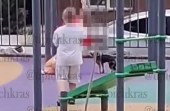 «Привязал веревку и поднимал вверх бедное животное»: крик души жителей краснодарской многоэтажки отражается лишь эхом, оставляя 8-летнего сорванца в тени его жутких деяний