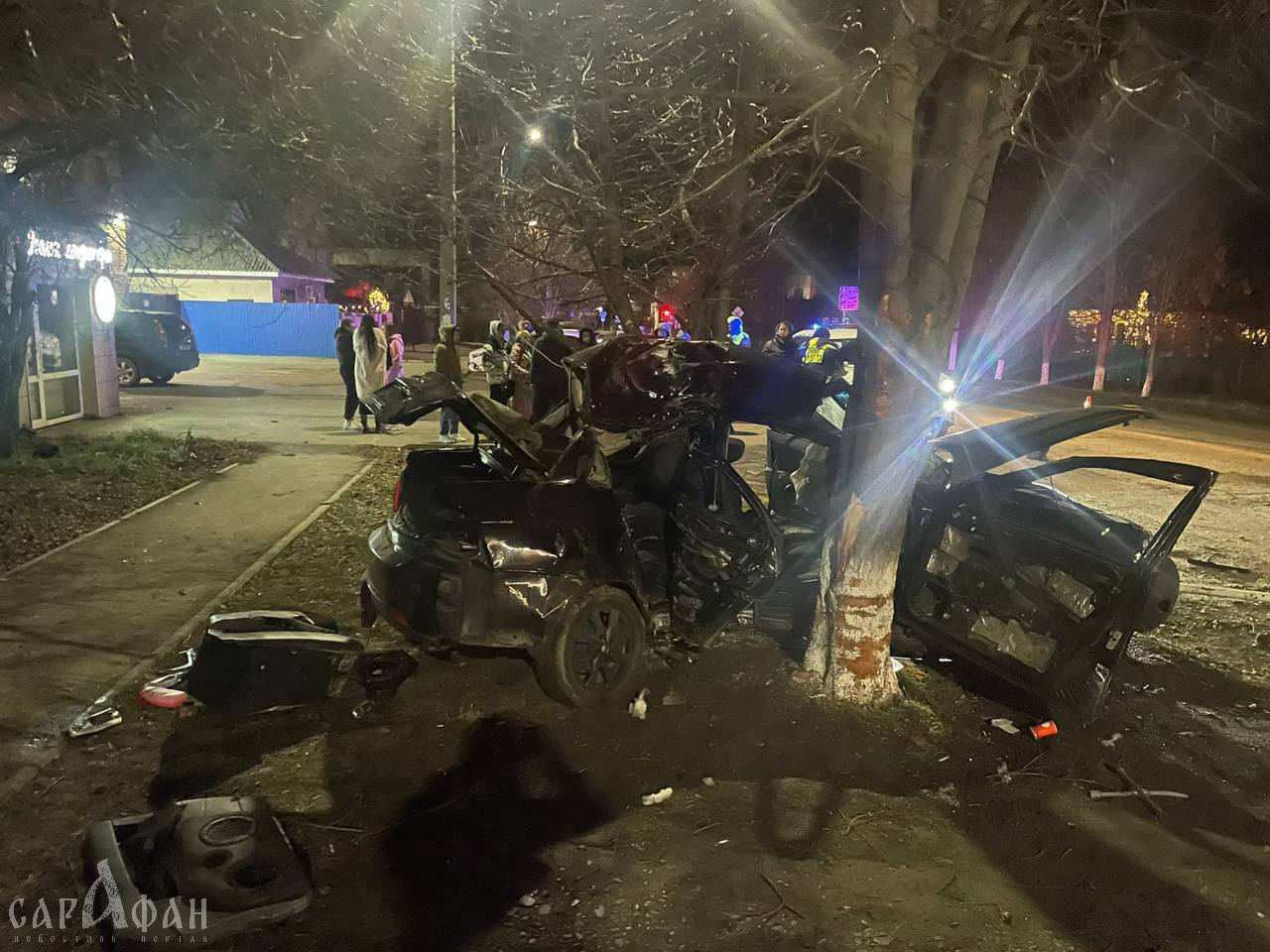От машины почти ничего не осталось после въезда в дерево на Кубани