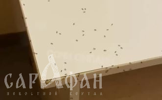 «Свет выключить страшно, они ползают и по одежде»: пациенты сочинской больницы боятся спать 