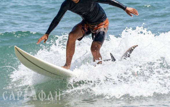 Гигантские челюсти тащили ко дну: обессиленный парень выбрался на берег, не понимая, что осталось от его нижней части туловища 