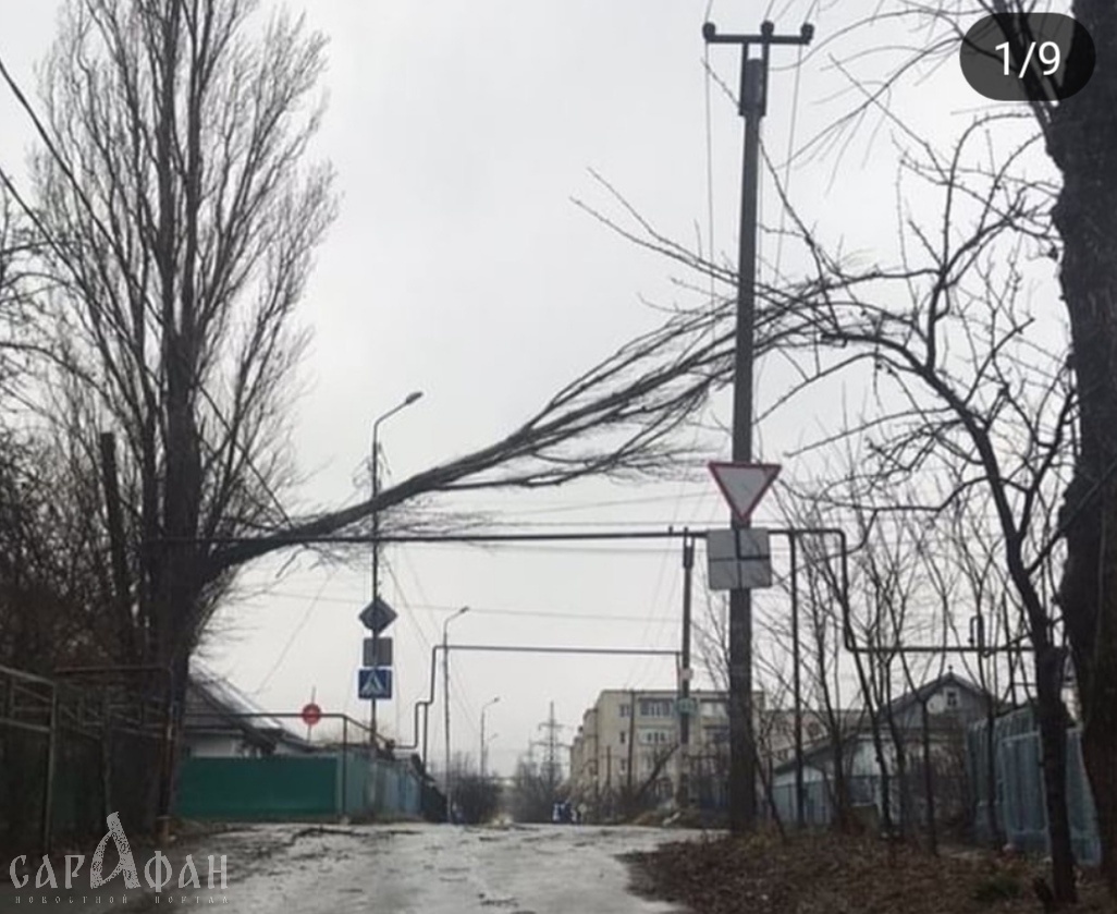 Микрорайон Туапсинка остался без света из-за сильного ветра в Ставрополе