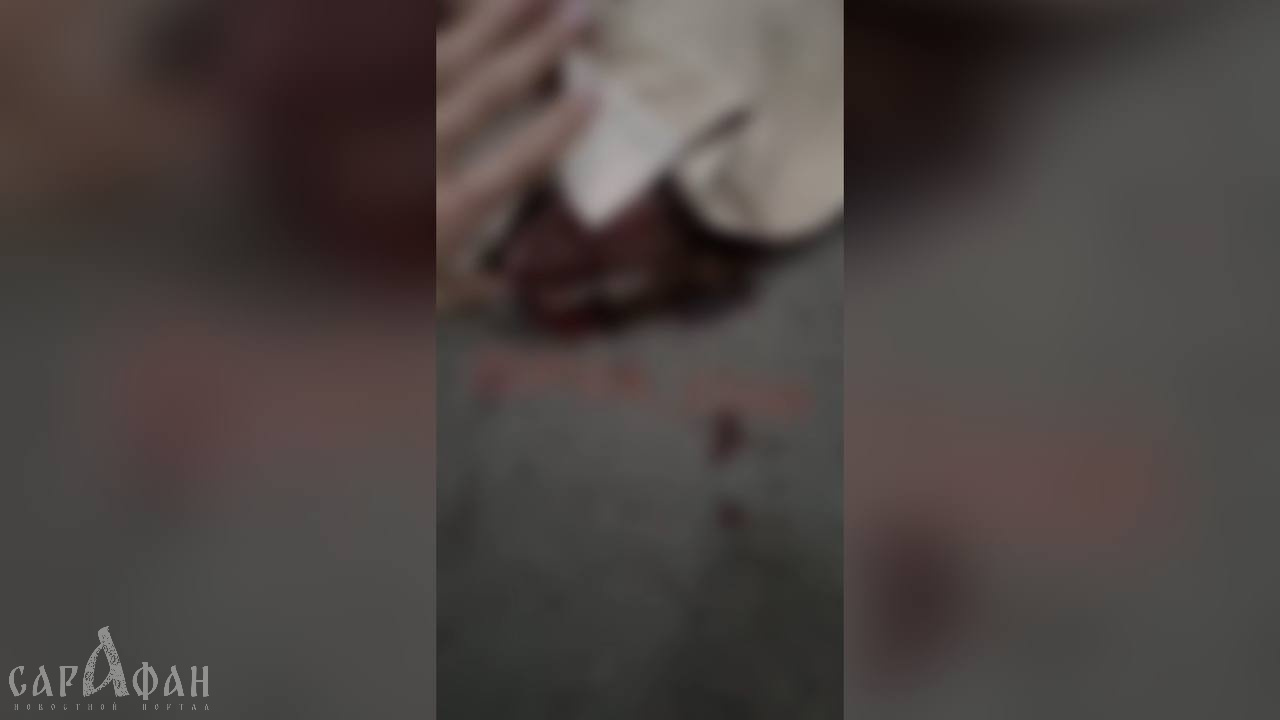 Не пощадили кормящую мать и щенка: жительница Кубани показала кадры жестокой расправы живодеров