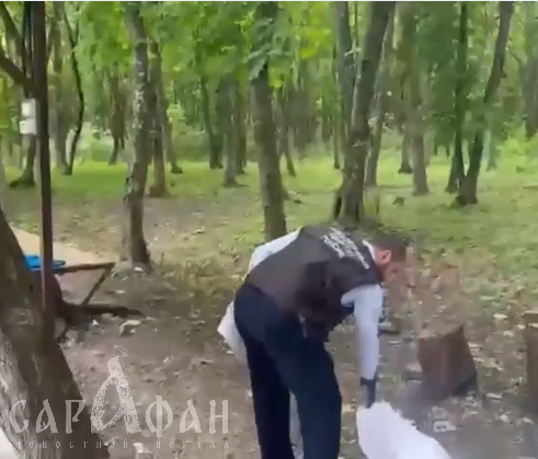 Били бейсбольной битой, пинали и толкали: в соседнем с Кубанью регионе иностранцы лишили жизни человека за деньги