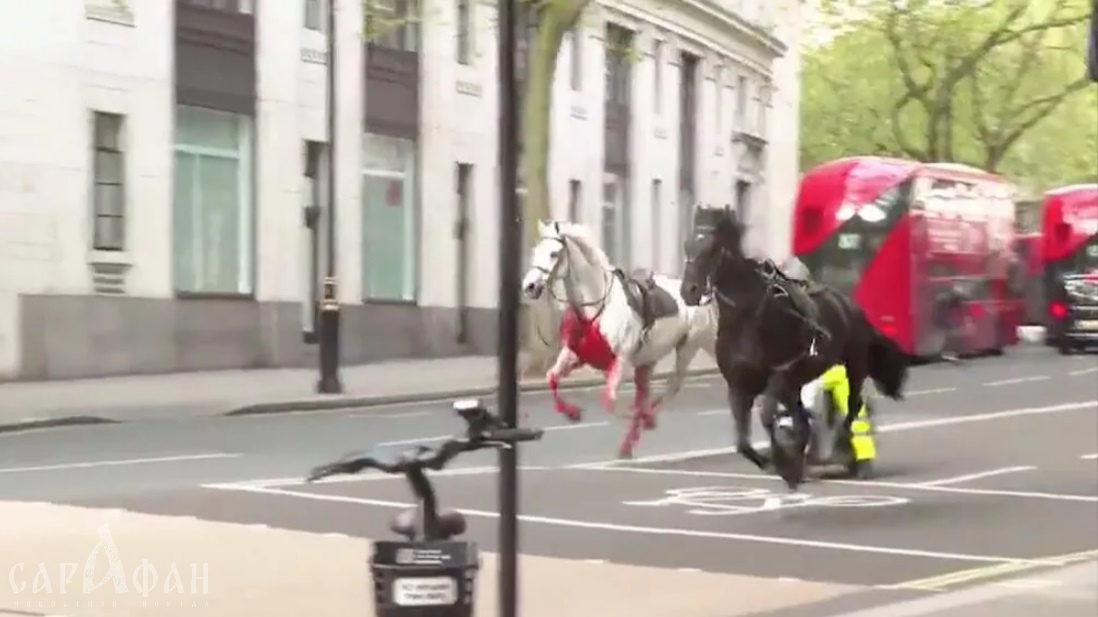 Взбесившиеся кони королевской гвардии затоптали людей в центре Лондона