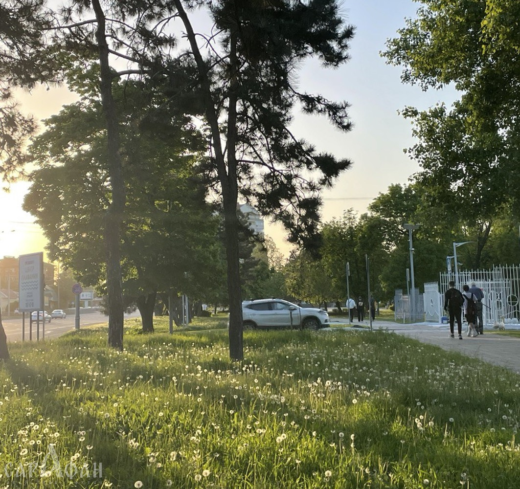 Краснодар оказался в числе пяти городов России с самым чистым воздухом 