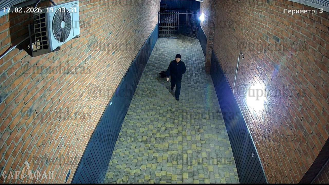 Сперва на помойке, теперь между домами: в Краснодаре мужчина в черном бездушно бросил беспомощных котят, ютящихся в оковах полиэтилена