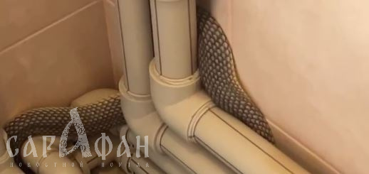 «Змеи в этом году понаглее будут»: в Новороссийске рептилия притаилась и выжидала хозяев в самом неожиданном месте